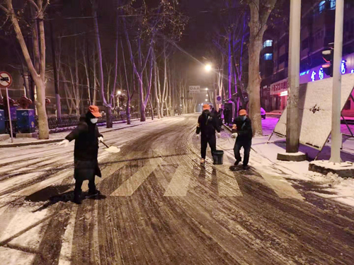 雪天里，洛陽公交人抗擊疫情的最美風景 